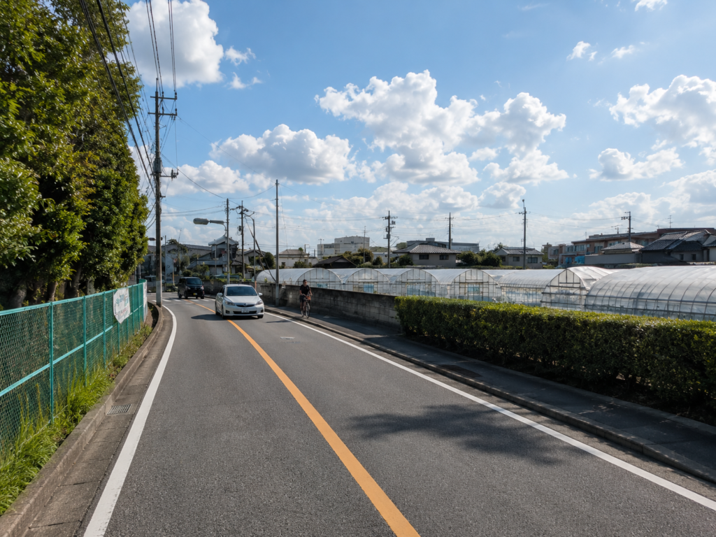 行田公園方面の円形道路でカーブの目線と速度を確認する練習
