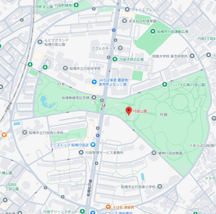 行田公園周辺の円形道路を確認するための資料画像