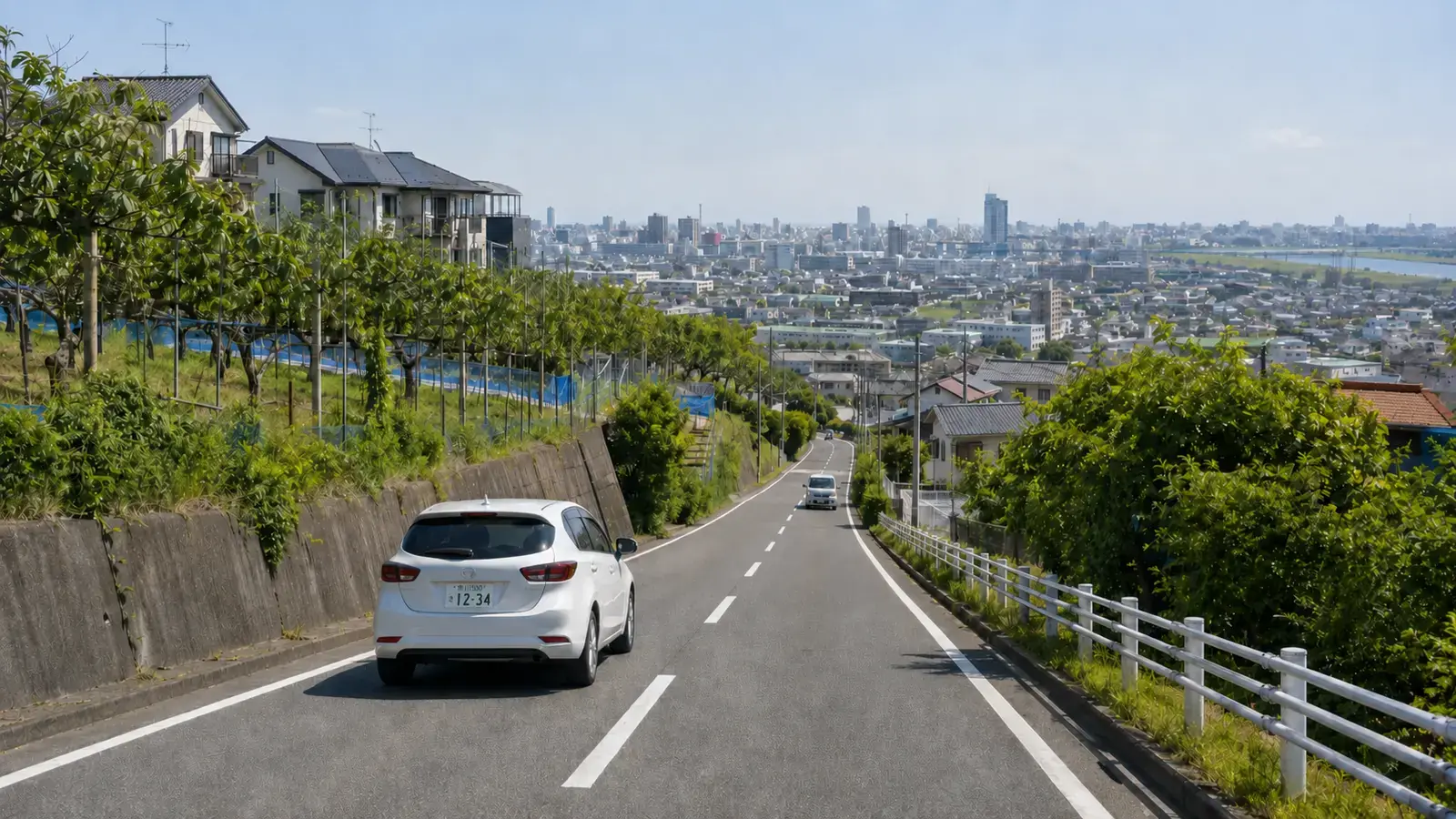 市川市北部の坂道から中央部・南部の市街地と川沿いの平地を望む市川ナンバーの車