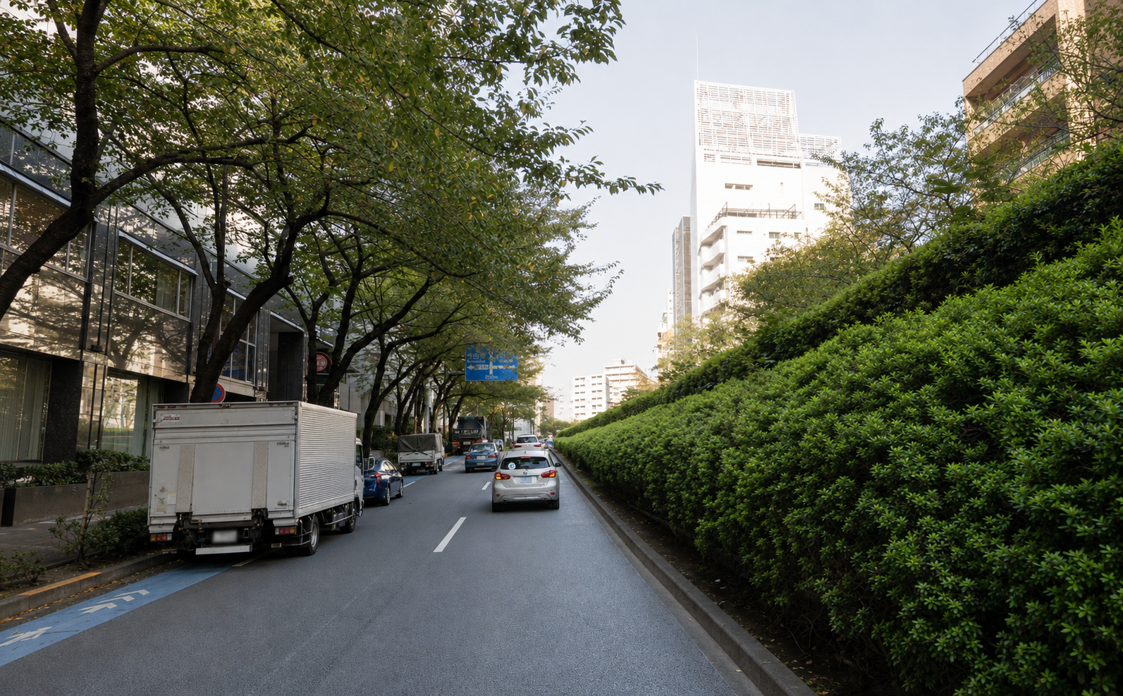 明治通り・山手通り周辺の道路状況